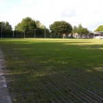Rijnstreek bedankt zijn vrijwilligers!